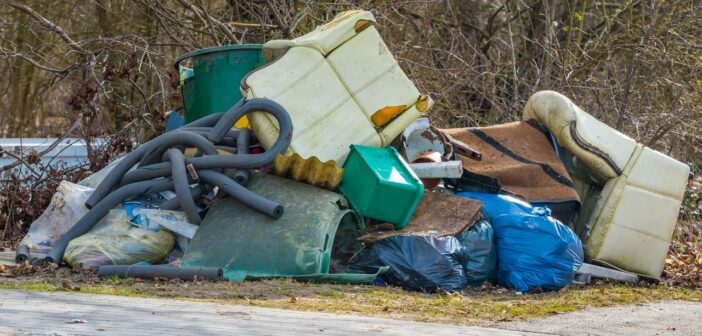 Illegale Müllentsorgung: Diese Strafen drohen ( Foto: Adobe Stock- mirkograul)