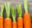 Neue Studie enthüllt: Warum orange Karotten? (Foto: AdobeStock - gitusik 104817362)